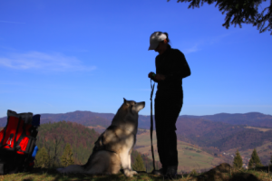 Kurs &#34;Dogtrekking rekreacyjny - poziom I&#34; 