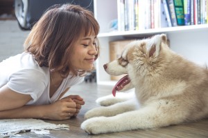 Kurs &#34;Petsitter - hotel dla zwierząt&#34; 